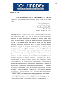 aplicação do processo de enfermagem a um cliente