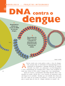 DNA contra a dengue - Agência Fiocruz de Notícias