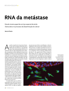 RNA da metástase - Revista Pesquisa Fapesp