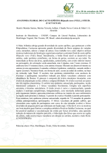 ANATOMIA FLORAL DO CACTO EPÍFITO Rhipsalis teres (VELL