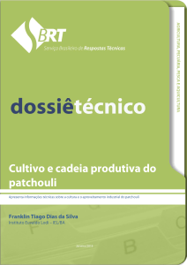 Cultivo e cadeia produtiva do patchouli