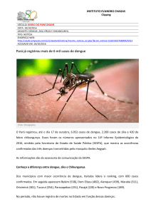 Pará já registrou mais de 6 mil casos de dengue
