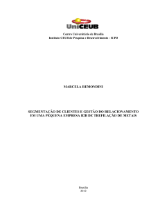 marcela remondini segmentação de clientes e gestão do