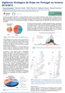 Poster Vigilância Virológica da Gripe 2012-2013