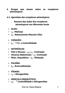 4.1. Agonistas dos receptores adrenérgicos