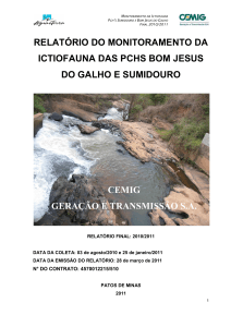 Relatório Monitoramento PCH Bom Jesus do Galho e Sumidouro