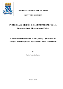 PROGRAMA DE PÓS-GRADUAÇÃO EM FÍSICA Dissertação de