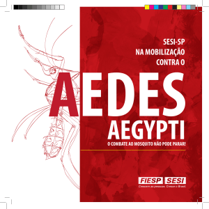 aedes aegypti