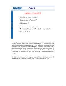 Cap&iacute;tulo 3 - Protocolo IP Redes IP
