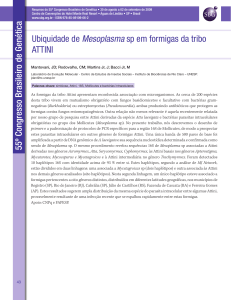 Ubiquidade de Mesoplasma sp em formigas da tribo ATTINI 55º