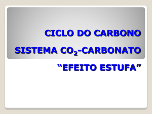 CICLO DO CARBONO E SISTEMA CO2