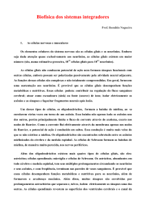 Biof&iacute;sica dos sistemas integradores