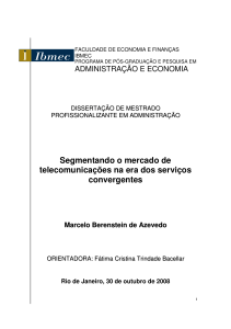 Segmentando o mercado de telecomunicações na era dos serviços