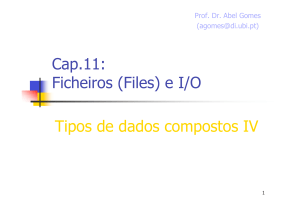 Cap.11: Ficheiros (Files) e I/O Tipos de dados compostos IV