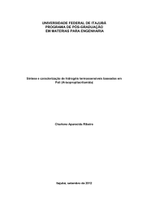 universidade federal de itajubá programa de pós-graduação