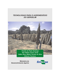 Tecnologias para o agronegócio do gergelim