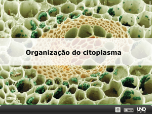 Organização do citoplasma