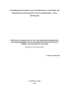 Dissertação em PDF