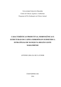 características produtivas, morfogênicas e estruturais - início