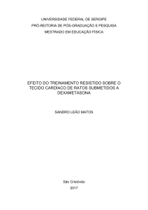 efeito do treinamento resistido sobre o tecido cardíaco