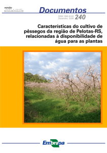 Características do cultivo de pêssegos da região de Pelotas