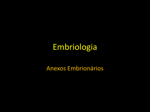 Aula de Embriologia