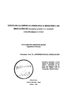 EFEITO DO ALUMÍNIO NA FISIOLOGIA E BIOQUÍMICA DE