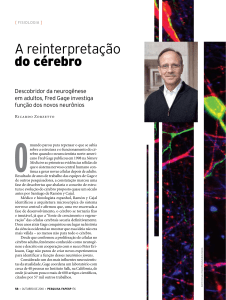 A reinterpreta&ccedil;&atilde;o do c&eacute;rebro
