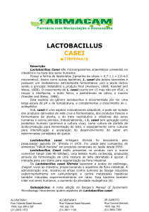 lactobacillus casei
