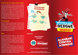 a DENGUE - Prefeitura de Alambari