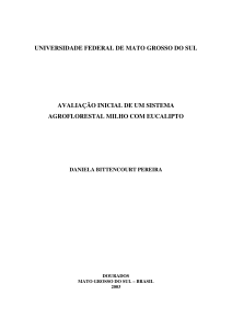 universidade federal de mato grosso do sul avaliação inicial de um