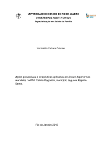 Ações preventivas e terapêuticas aplicadas aos idosos hipertensos