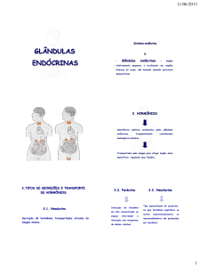 glândulas endócrinas - IBB