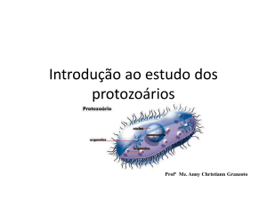 Introdução ao estudo dos protozoários