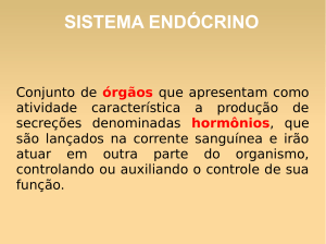 sistema endócrino