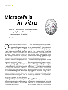 in vitro - Revista Pesquisa Fapesp