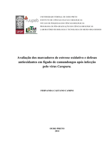 Avaliação dos marcadores de estresse oxidativo e defesas