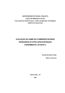 AVALIAÇÃO DE GAMETAS E EMBRIÕES BOVINOS PRODUZIDOS