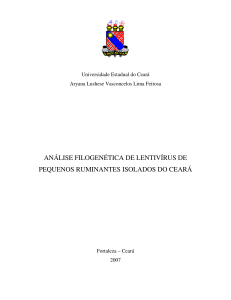 análise filogenética de lentivírus de pequenos ruminantes