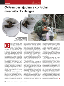Ovitrampas ajudam a controlar mosquito do dengue