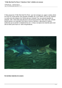 "O Mar Não Está Pra Peixe 2: Tubarões à Vista" é didático em excesso