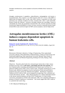 Astragalus membranaceus lectin (AML) induces caspase