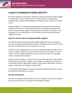 informações o que é o mosquito aedes aegypti?