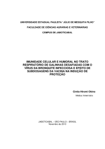 imunidade celular e humoral no trato respiratório de galinhas