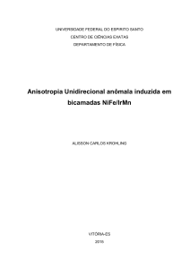 Anisotropia Unidirecional anômala induzida em bicamadas NiFe/IrMn