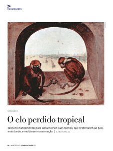 O elo perdido tropical - Revista Pesquisa Fapesp