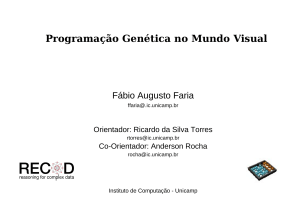 Programação Genética no Mundo Visual - IC