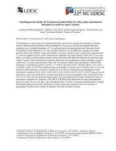 Genotipagem de isolados de Toxoplasma gondii obtidos de