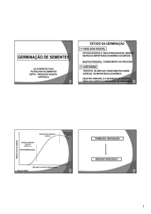germinação de sementes - Esalq