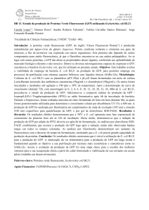 BB 13. Estudo da produção de Proteína Verde Fluorescente (GFP